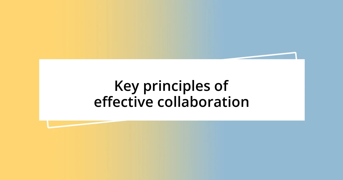 Key principles of effective collaboration